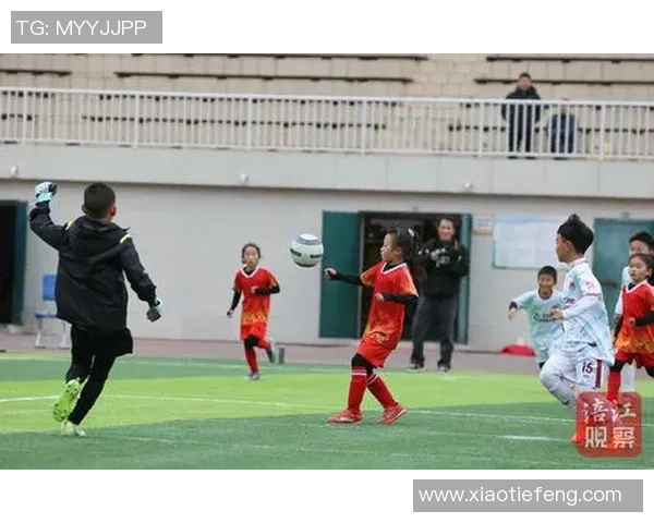 足球筑人墙守护梦想与团结的力量在绿茵场上绽放